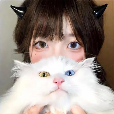 功夫